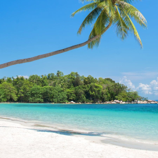 Paket Tour Batam 2 Hari 1 Malam